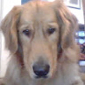 Meet your Posher, Alivia